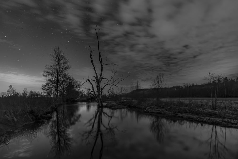 Monatsbilder Februar 2025